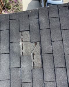 Missing asphalt shingles on a composite roof in Aptos CA Asphalt shingles can prematurely fall off a roof installed improperly by an unknowledgeable roofing contractor in Santa Cruz California.